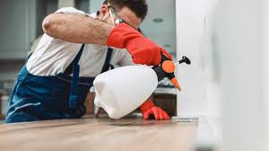 Best Pest Control for Restaurants and Food Service  in Catlin, IL